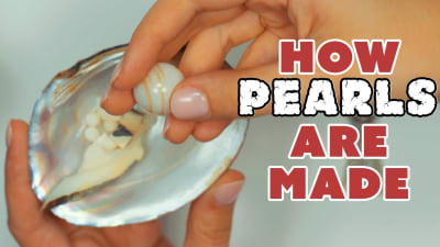 how pearls are made