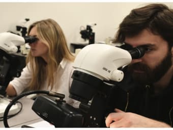 two individuals use gemology microscopes for observation