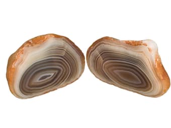 two cut agate gemstone specimens