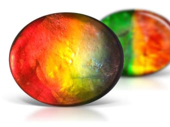 oval shaped multi-colored ammolite doublet gemstones
