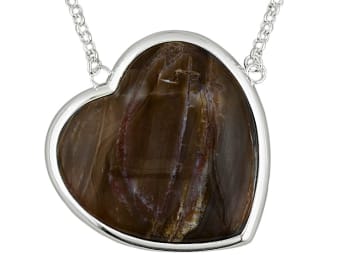 This-brown-petrified-wood-silver-necklace-is-an-example-of-petrified-wood-jewelry