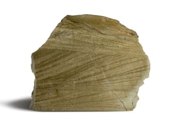 uncut brown sandstone specimen