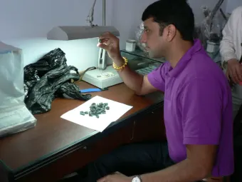 A gemstone cutter examines rough chrome diopside samples.