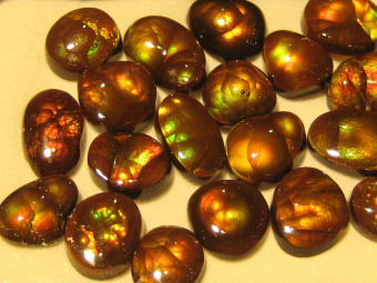 Selection of commercial to low grade fire agate polished cabochons
photographed by Renee Newman
