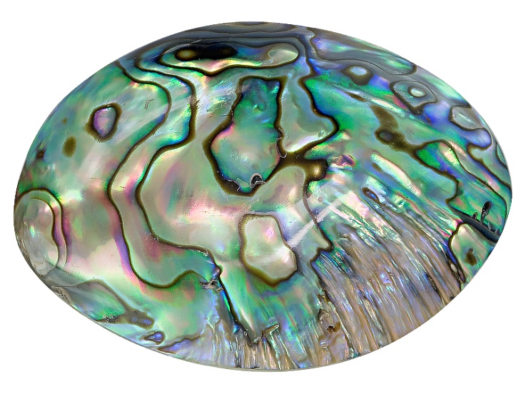 Abalone Shell Gem Guide and Properties Chart