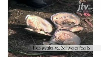 Freshwater vs. Saltwater Pearls
