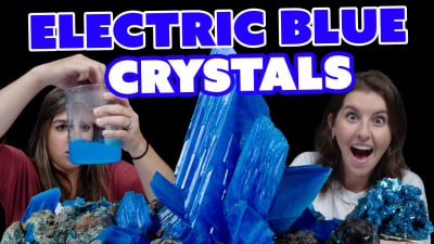 Gemstone hosts inspect electric blue gemstones.