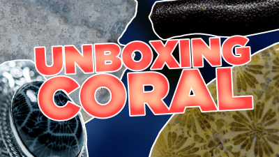 Unboxing Coral | Fossilized Coral, Precious Coral + More!