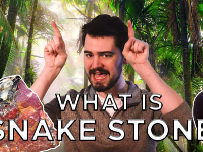 All About Snake Stones | Cobra Pearl, Nagamani & more!