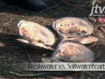 Freshwater vs. Saltwater Pearls