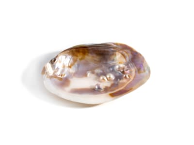Blister Pearl Rough