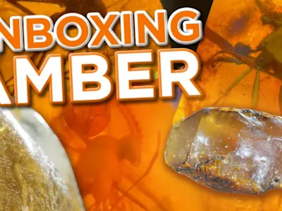 Amber: Unboxing 10,000,000 Years! | Insect-Infused + Copal