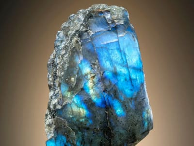Exciting World of Fine Mineral Specimens