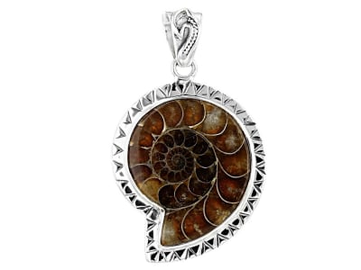 Ammonite Shell Jewelry