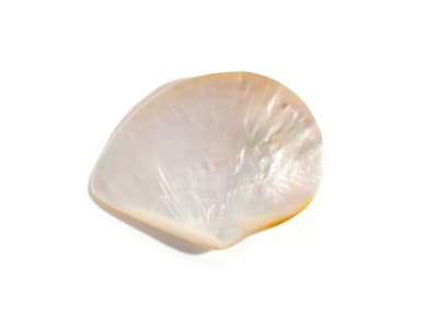 Mother-Of-Pearl Rough