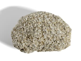 Coquina Limestone