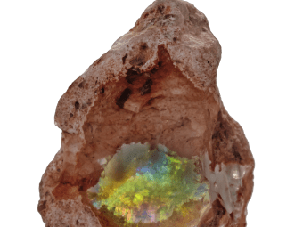 Contra Luz Opal Opal