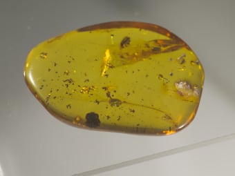 amber