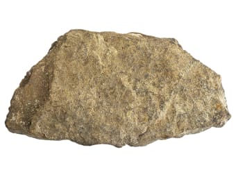 Stony Meteorite Meteorite