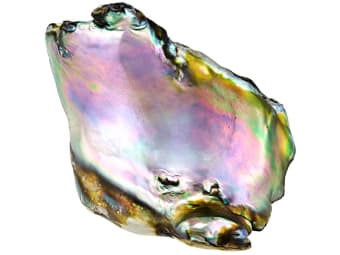abalone pearl specimen 