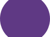 Purple Capiz Shell