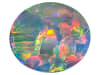 Multi-color Black Opal