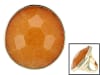 Orange Quartzite