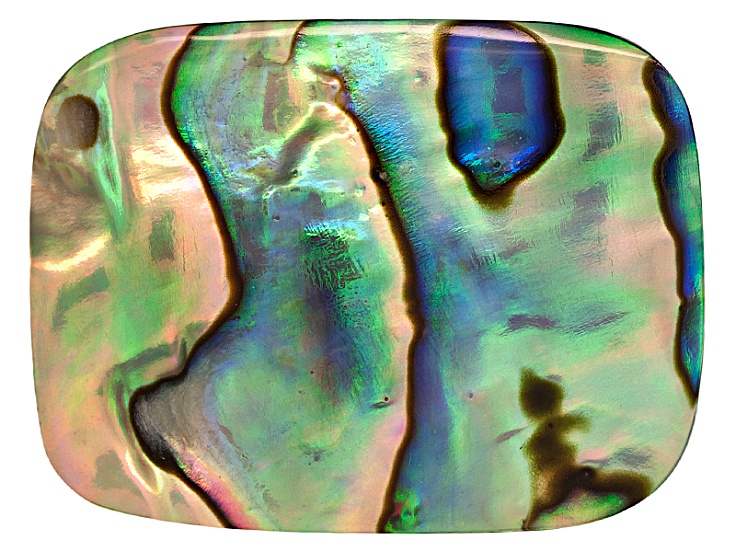 Abalone gem on sale